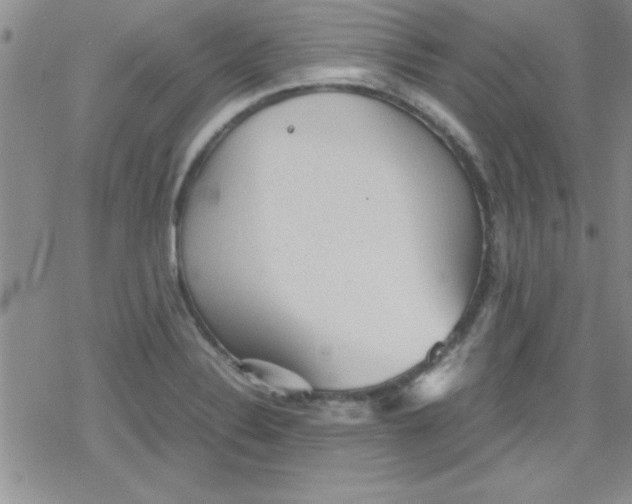 X0000079341324200612082014