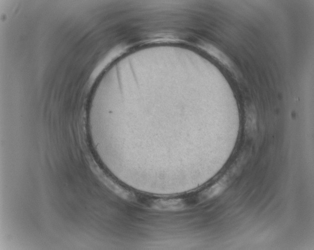 X0000079341325200612082014