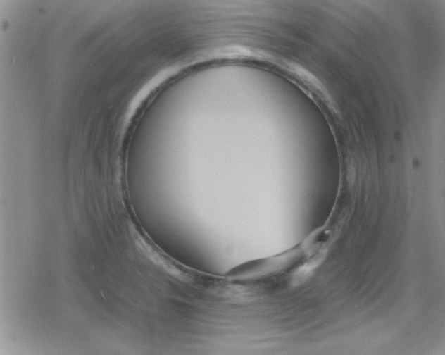 X0000079341326200612082014