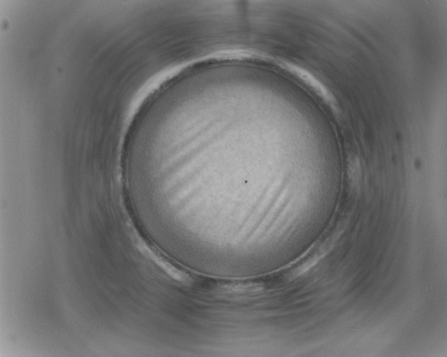 X0000079341327200612082014