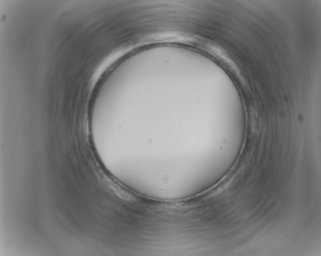 X0000079341328200612082014