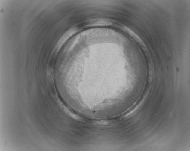 X0000079341329200612082014