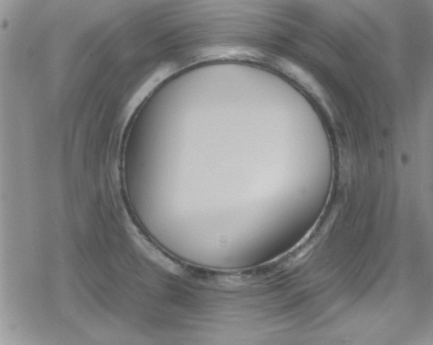 X0000079341330200612082014