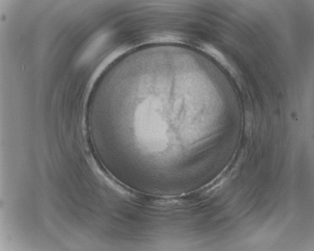 X0000079341331200612082014