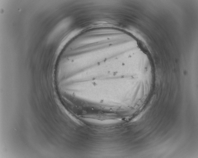 X0000079341333200612082014