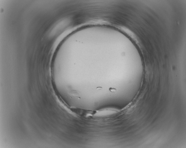 X0000079341335200612082014