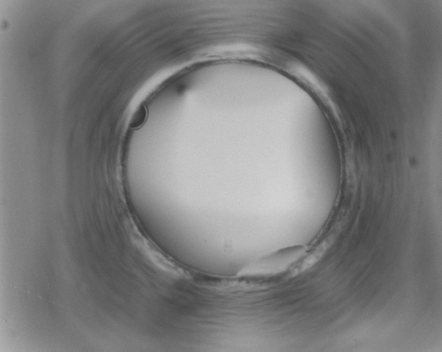 X0000079341336200612082015