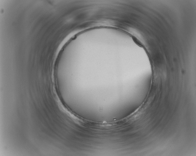 X0000079341339200612082015