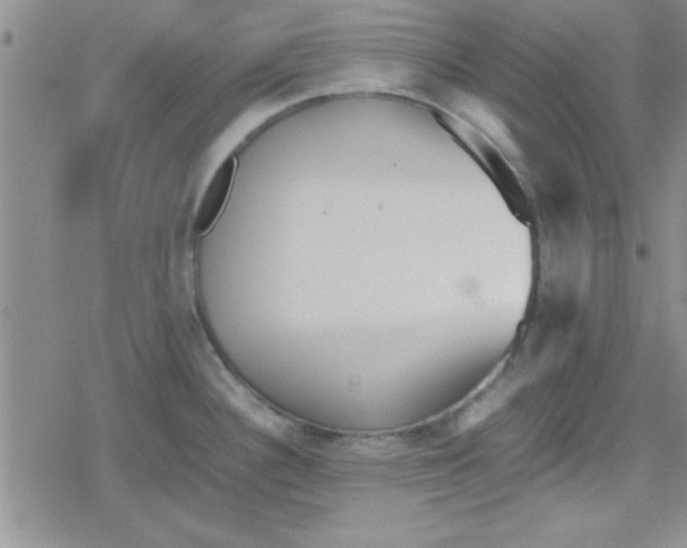 X0000079341340200612082015