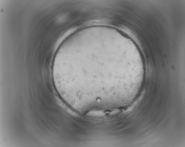 X0000079341341200612082015