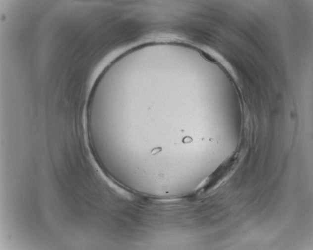 X0000079341343200612082015