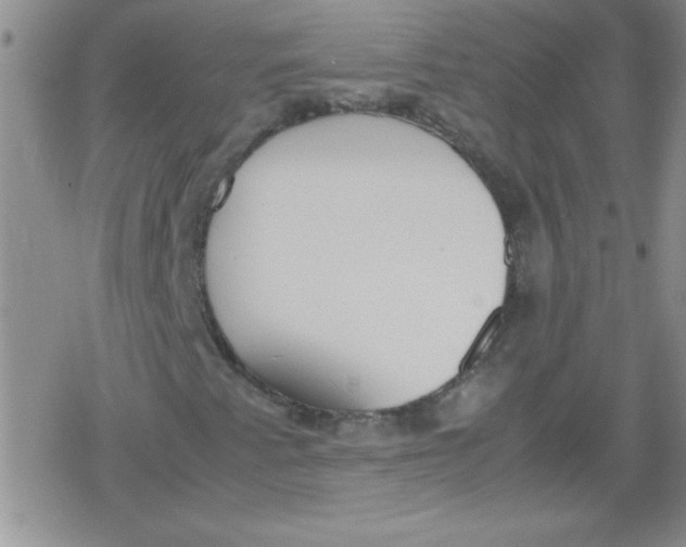 X0000079341345200612082014