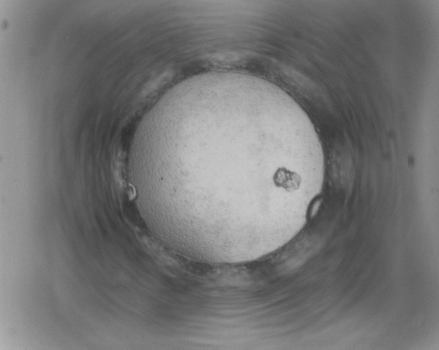 X0000079341346200612082014