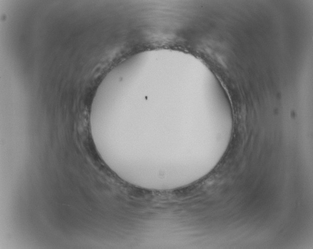 X0000079341349200612082014