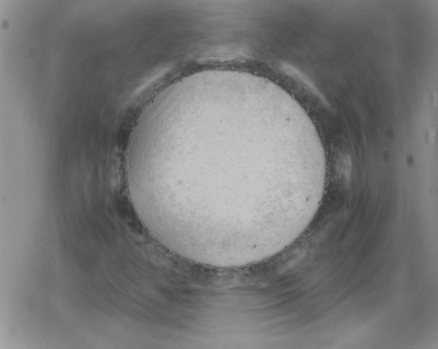 X0000079341350200612082014