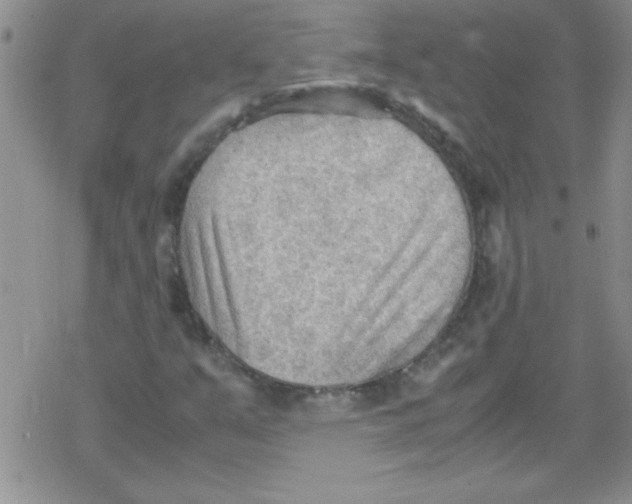 X0000079341351200612082014