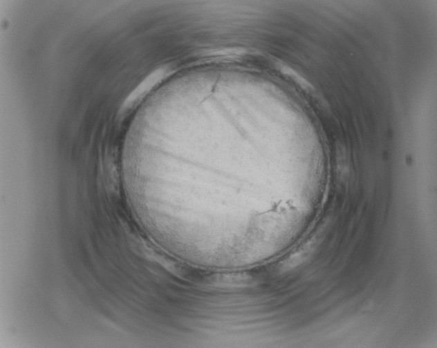 X0000079341354200612082014