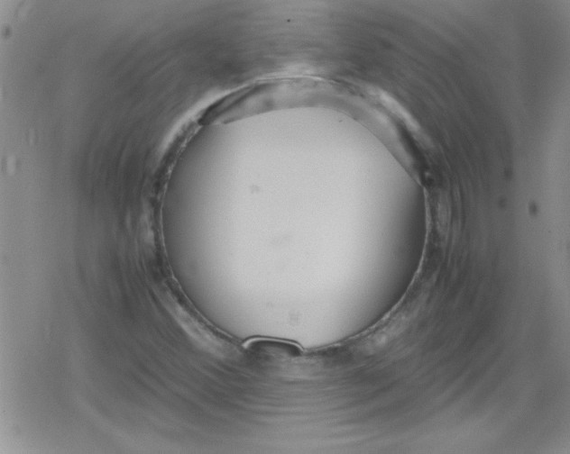 X0000079341356200612082014