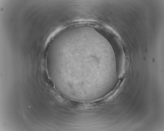 X0000079341357200612082014