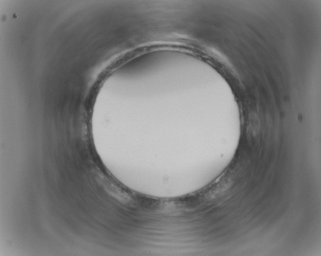 X0000079341360200612082014