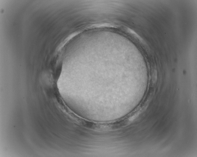 X0000079341361200612082014