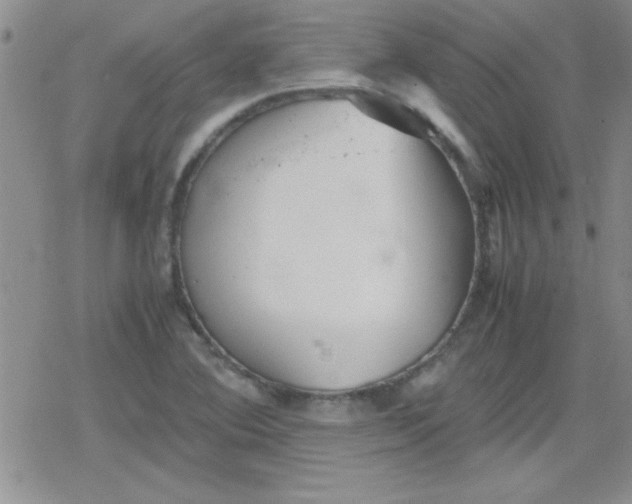 X0000079341364200612082014