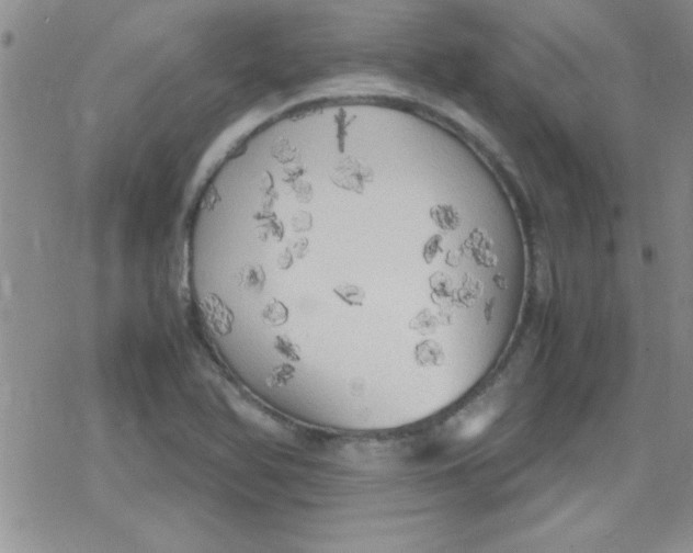 X0000079341366200612082014