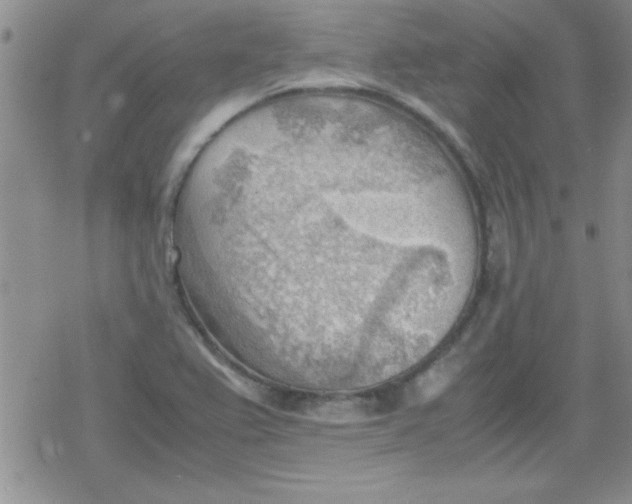 X0000079341367200612082013