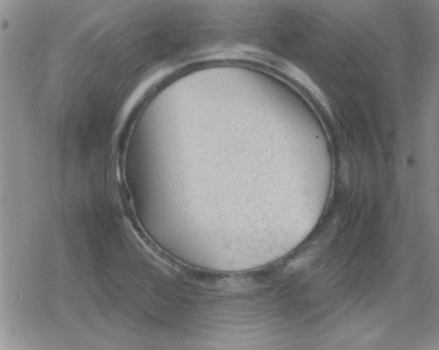 X0000079341368200612082013