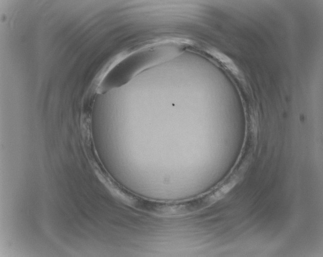 X0000079341369200612082013