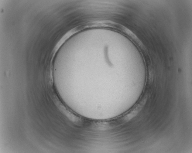 X0000079341370200612082013