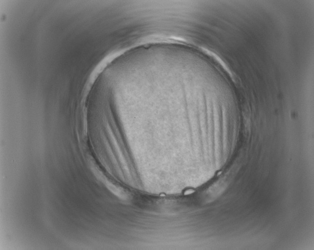 X0000079341371200612082013