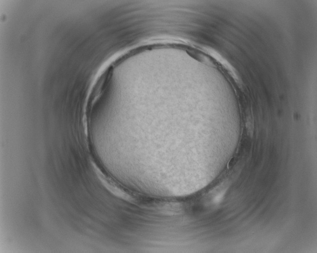 X0000079341372200612082013