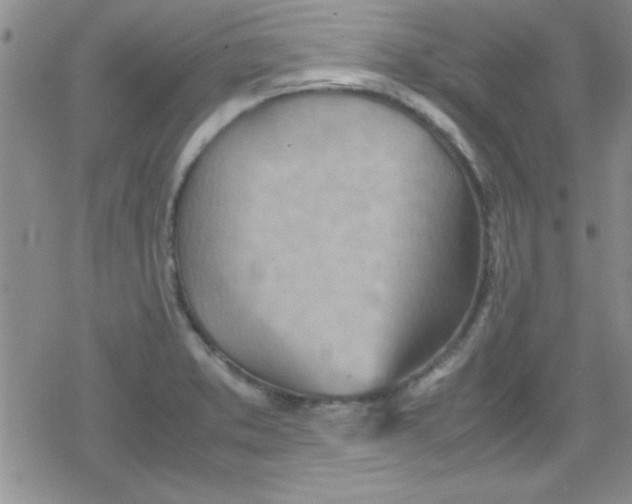 X0000079341373200612082013