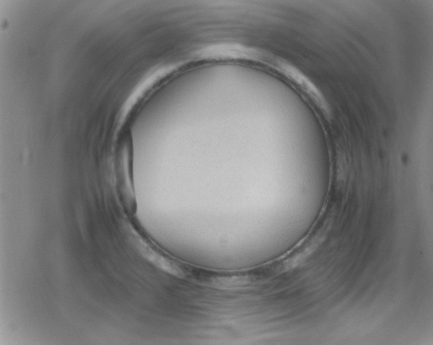 X0000079341376200612082013