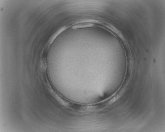 X0000079341377200612082013