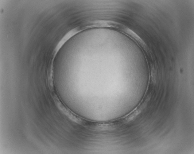 X0000079341378200612082013