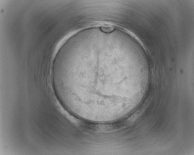 X0000079341379200612082013