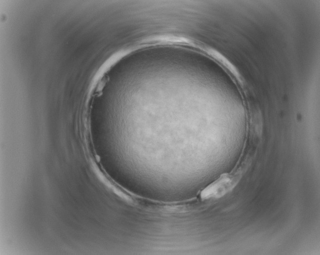 X0000079341381200612082013