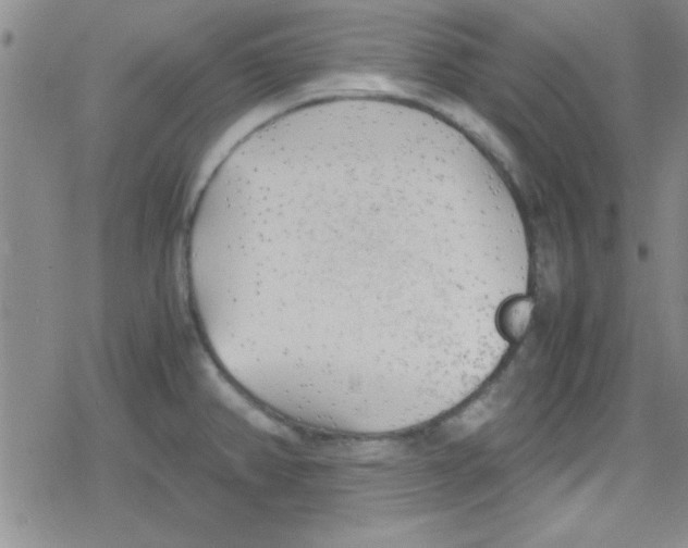 X0000079341382200612082013