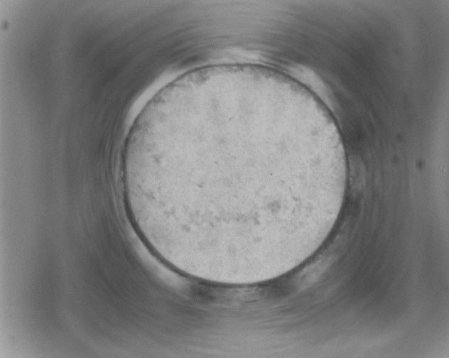 X0000079341387200612082013