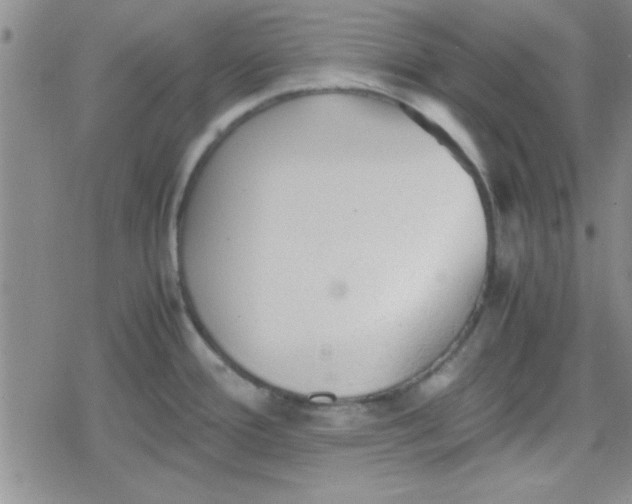 X0000079341388200612082013