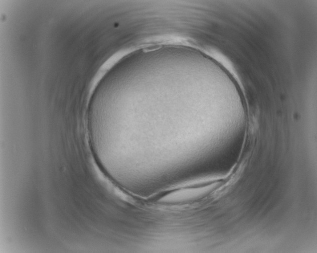 X0000079341389200612082013