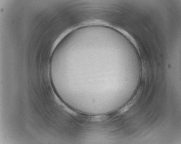 X0000079341390200612082013