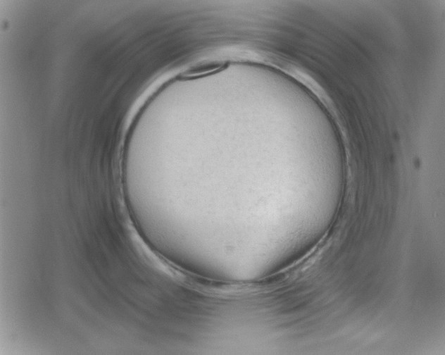 X0000079341392200612082013