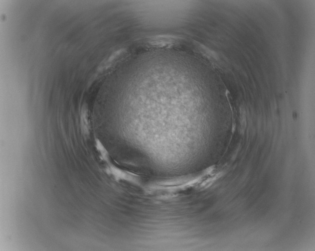 X0000079341394200612082012