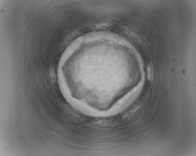 X0000079341395200612082012