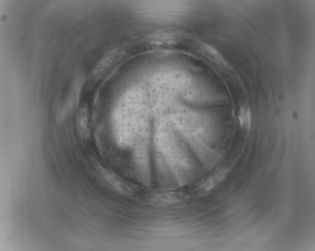 X0000079341396200612082012