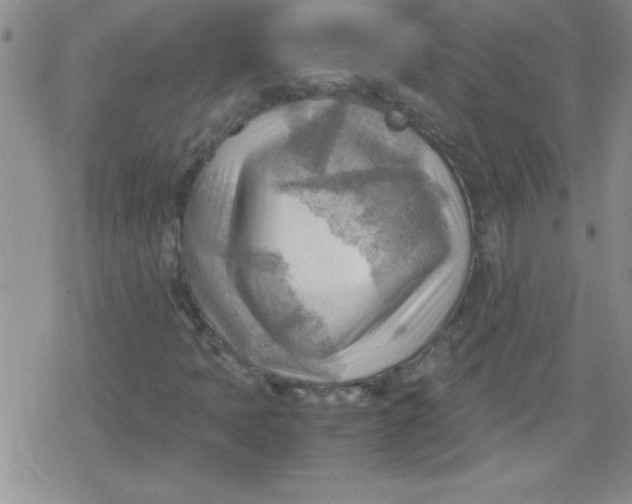 X0000079341397200612082012