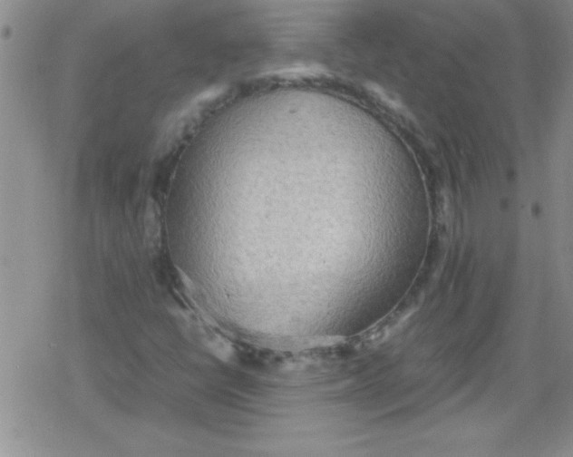 X0000079341398200612082012